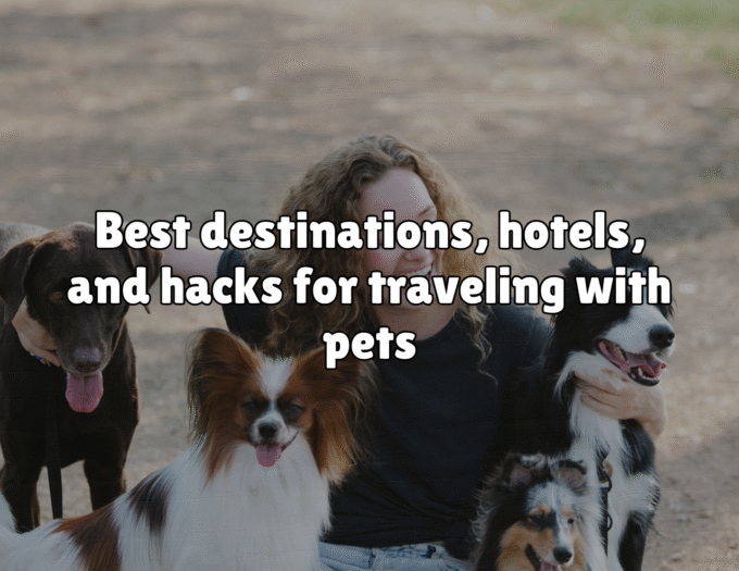 Best destinations, hotels, and hacks for traveling with pets
