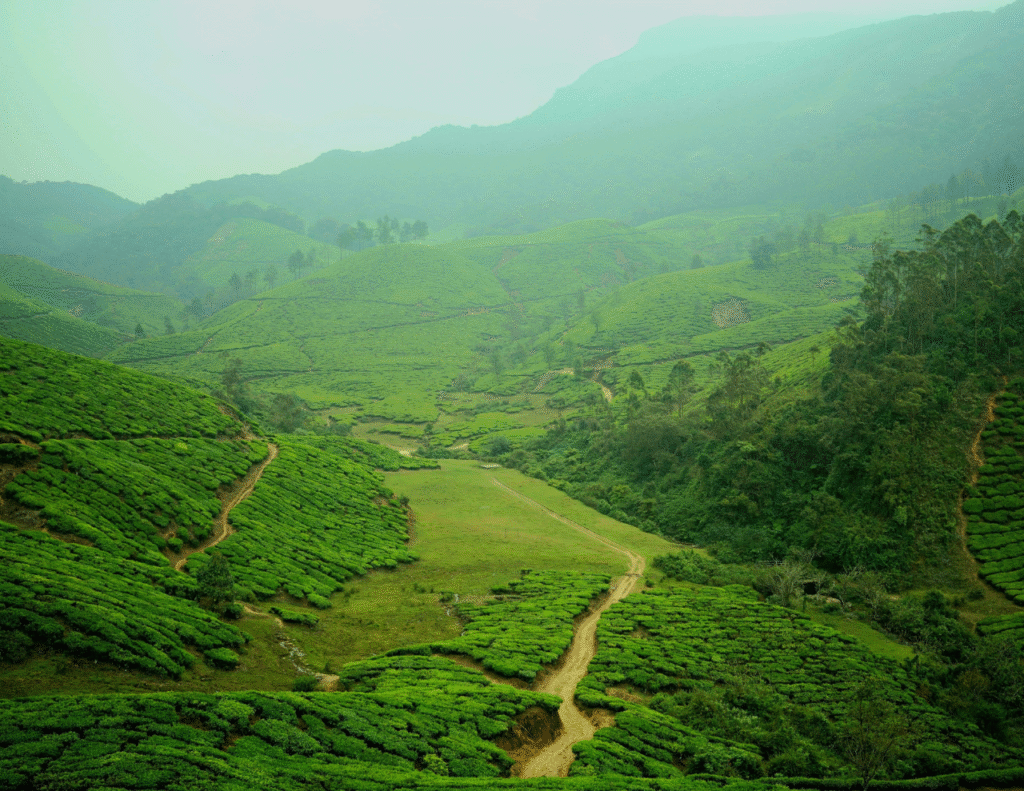 Munnar