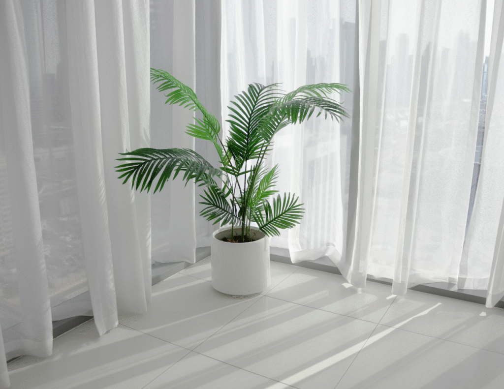 Bring in Indoor Plants