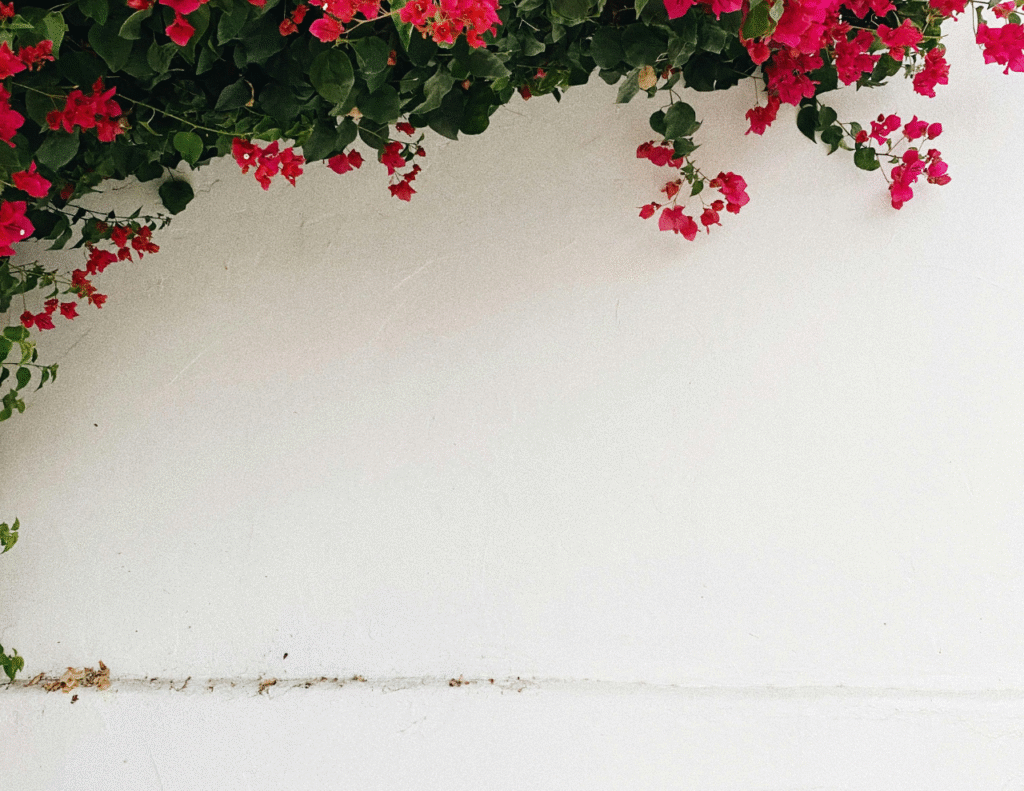 Make Use of Vibrant Wall Colors